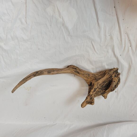 Ohio River Driftwood 29"x11"x6" - Picture 1 of 3